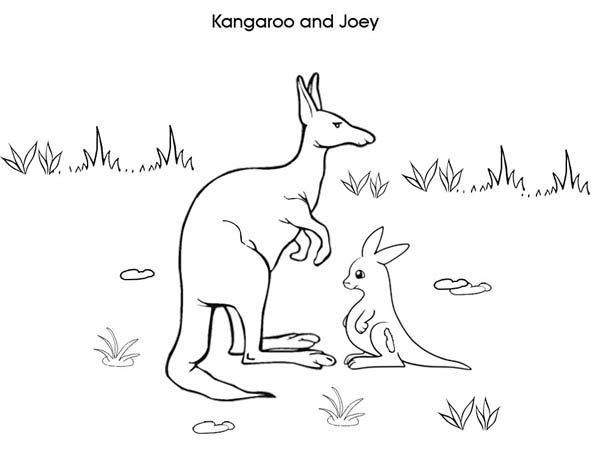 Dessin à colorier: Kangourou (Animaux) #9276 - Coloriages à Imprimer Gratuits