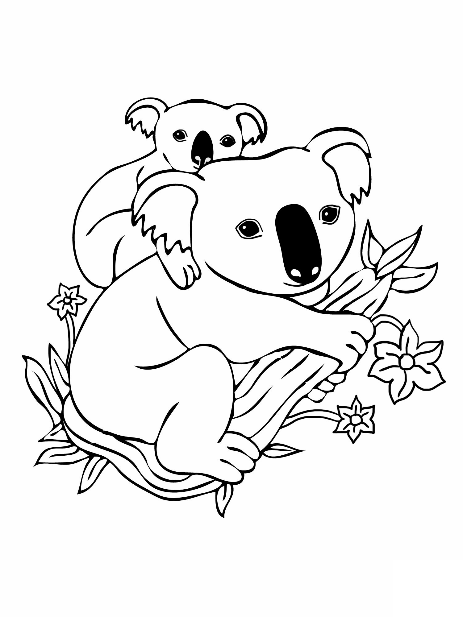 Dessin Koala 9302 Animaux à Colorier Coloriages à Imprimer