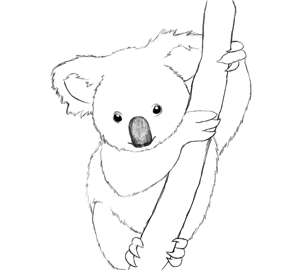 Dessin à colorier: Koala (Animaux) #9305 - Coloriages à Imprimer Gratuits