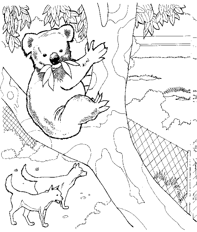 Dessin à colorier: Koala (Animaux) #9307 - Coloriages à Imprimer Gratuits