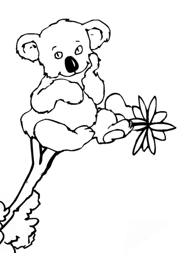 Dessin à colorier: Koala (Animaux) #9325 - Coloriages à Imprimer Gratuits