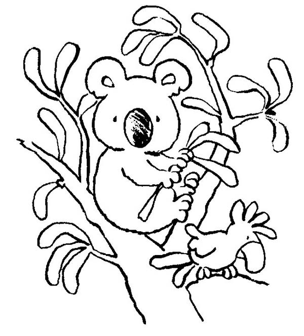 Dessin à colorier: Koala (Animaux) #9341 - Coloriages à Imprimer Gratuits