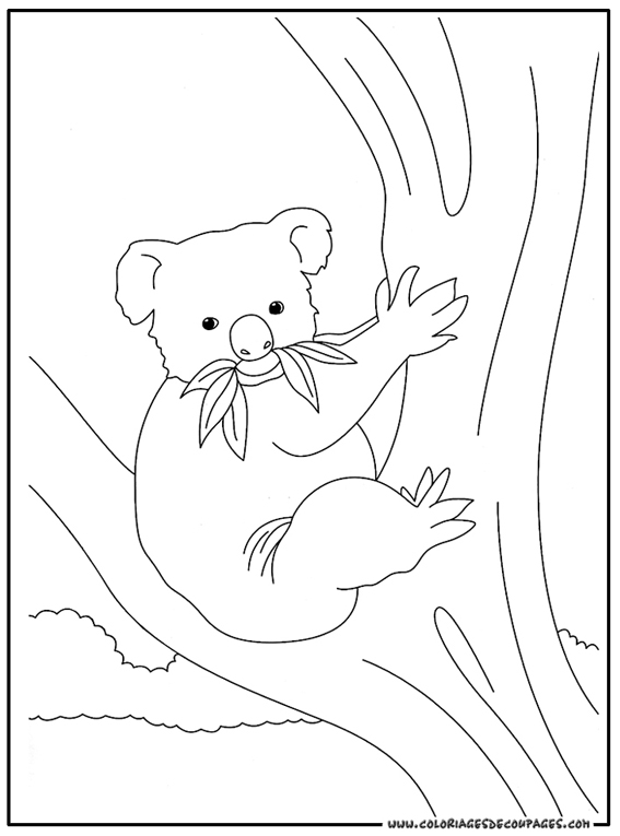 Dessin à colorier: Koala (Animaux) #9342 - Coloriages à Imprimer Gratuits