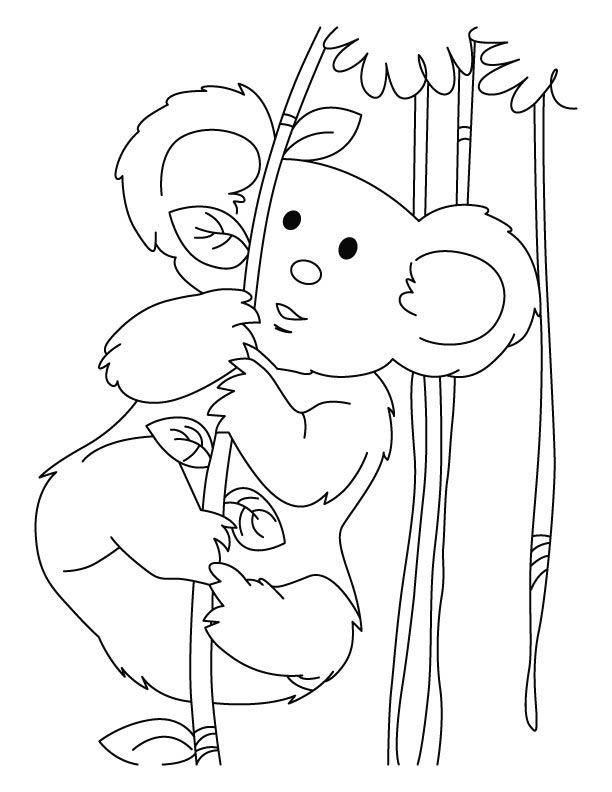 Dessin à colorier: Koala (Animaux) #9345 - Coloriages à Imprimer Gratuits