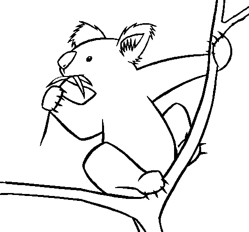 Dessin à colorier: Koala (Animaux) #9356 - Coloriages à Imprimer Gratuits