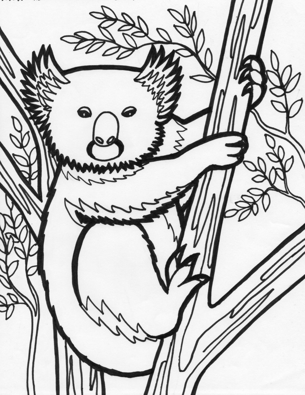 Dessin à colorier: Koala (Animaux) #9426 - Coloriages à Imprimer Gratuits