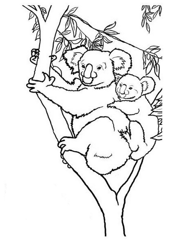Dessin à colorier: Koala (Animaux) #9452 - Coloriages à Imprimer Gratuits