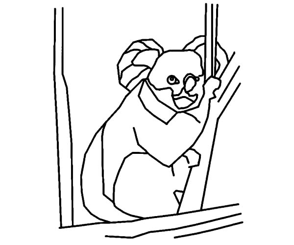 Dessin à colorier: Koala (Animaux) #9457 - Coloriages à Imprimer Gratuits