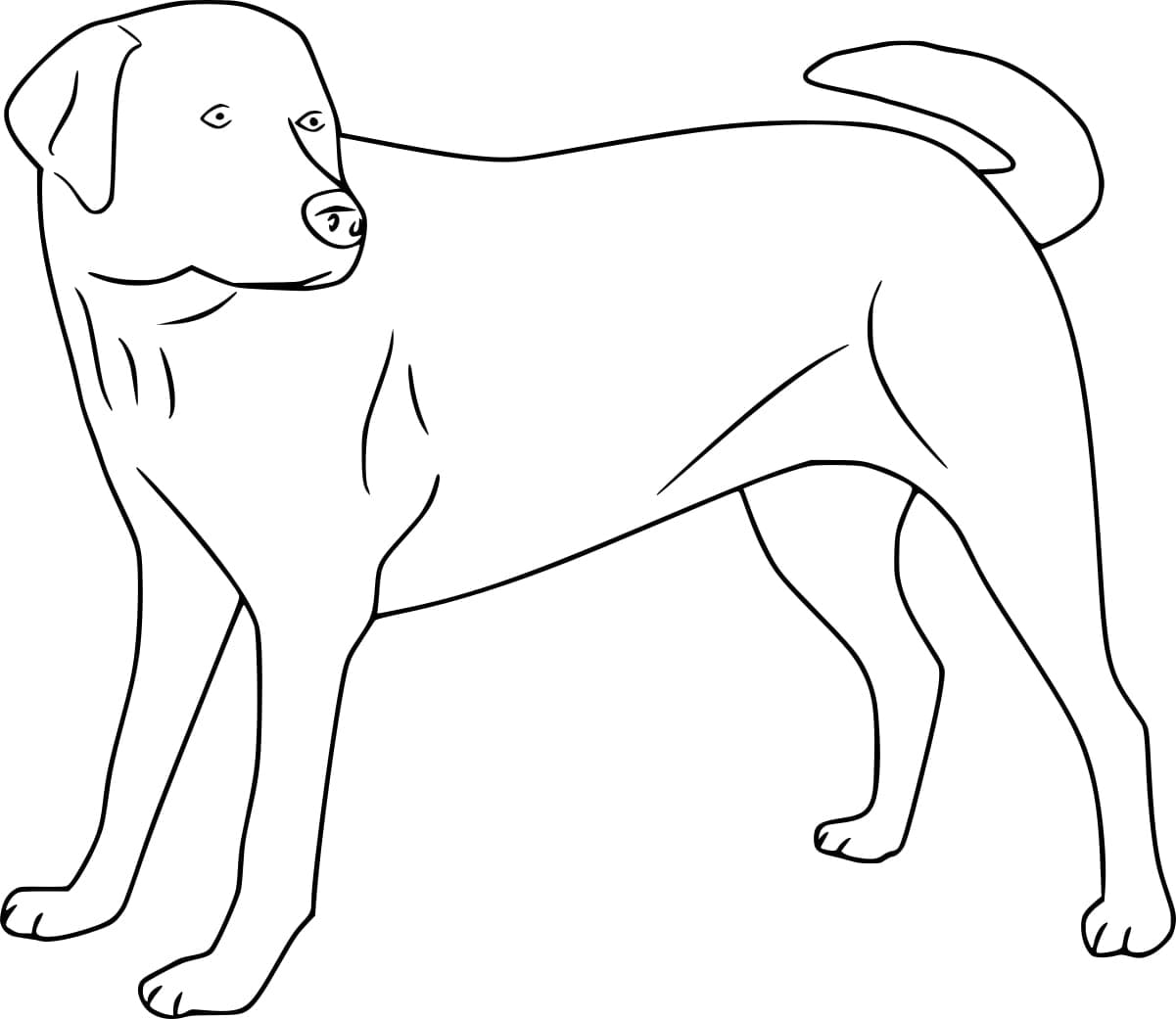 Coloriage gratuit Labrador #220736 de la collection Animaux à imprimer