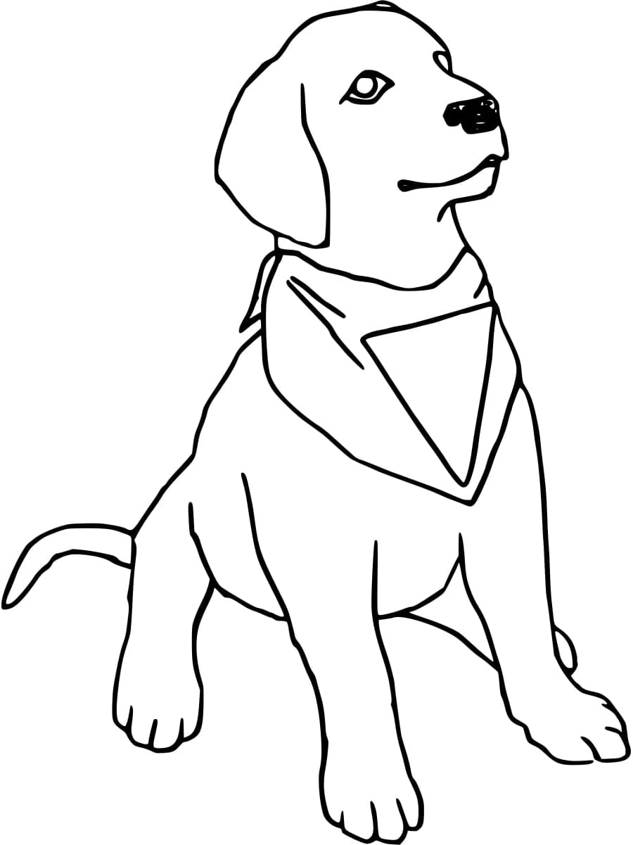 Coloriage gratuit Labrador #220745 de la collection Animaux à imprimer Coloriage gratuit Labrador #220745 de la collection Animaux à imprimer