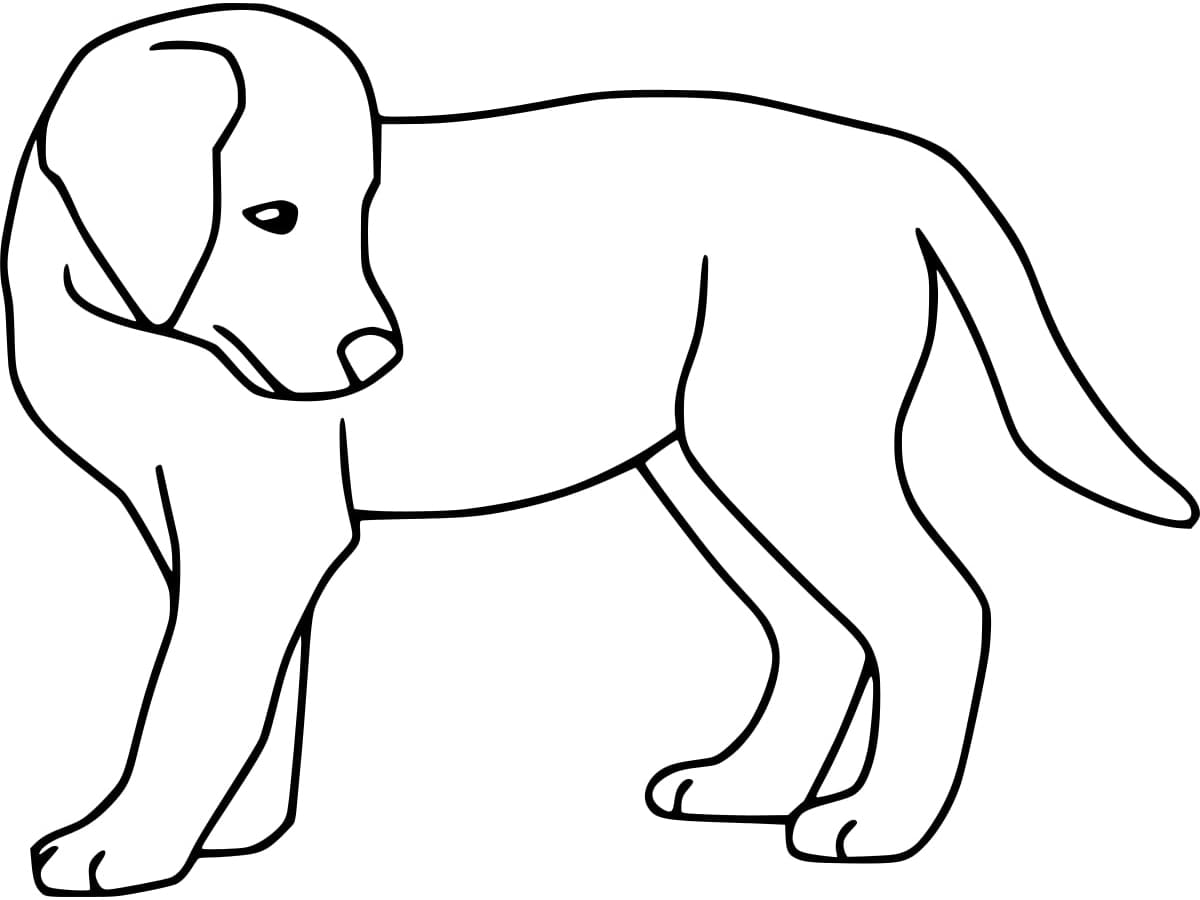 Coloriage gratuit Labrador #220750 de la collection Animaux à imprimer