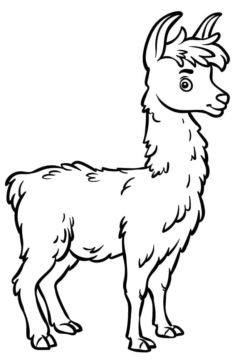 Coloriage gratuit Lama #179530 de la collection Animaux à imprimer