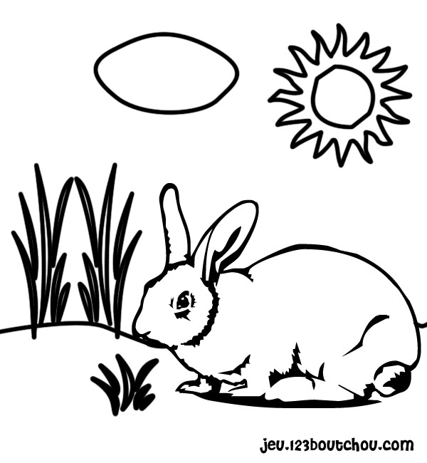 Dessin à colorier: Lapin (Animaux) #9584 - Coloriages à Imprimer Gratuits