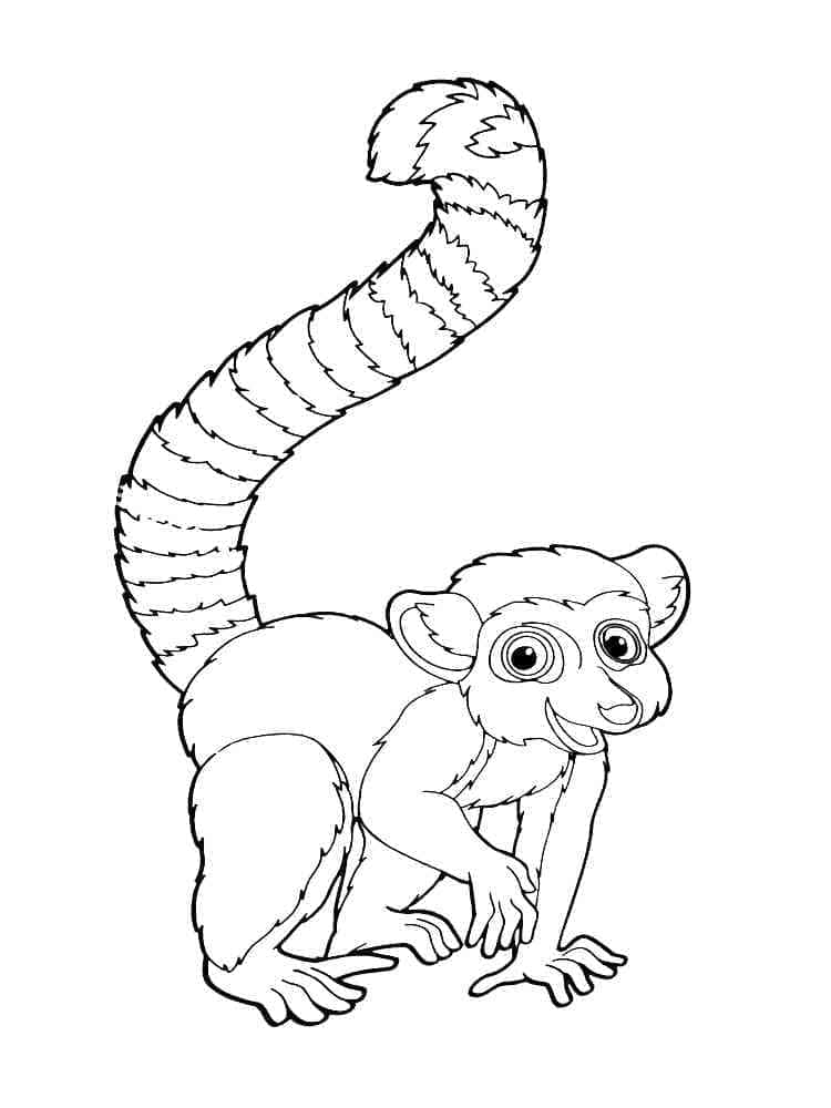 Coloriage gratuit Lémurien #219685 de la collection Animaux à imprimer