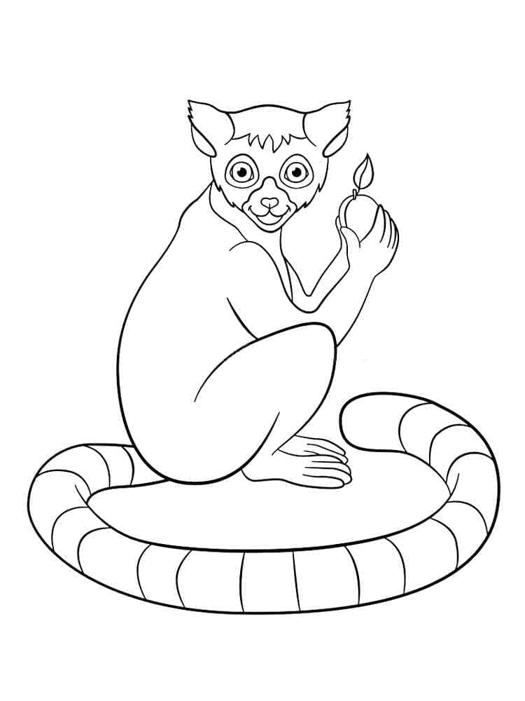 Coloriage gratuit Lémurien #219687 de la collection Animaux à imprimer