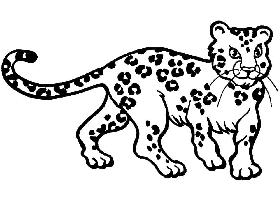 Coloriage gratuit Léopard #189152 de la collection Animaux à imprimer