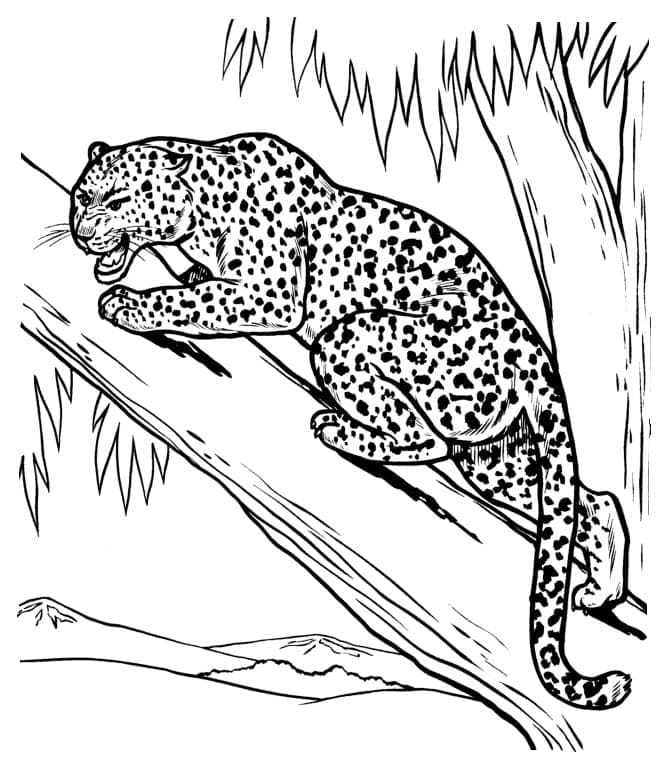 Dessin à colorier Léopard #189161 issu de la collection Animaux, prêt à imprimer