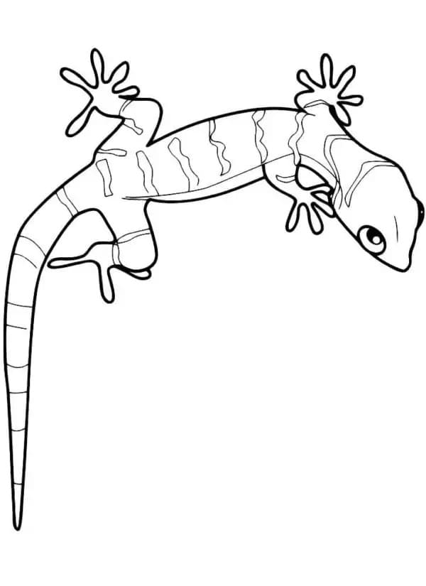 Dessin à colorier: Lézard (Animaux) #179648 - Coloriages à Imprimer Gratuits