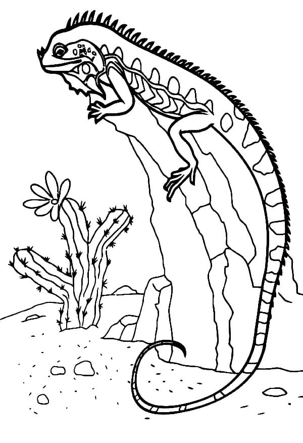 Coloriage gratuit Lézard #179654 de la collection Animaux à imprimer