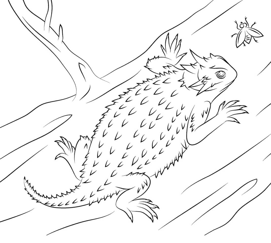 Coloriage gratuit Lézard #217855 de la collection Animaux à imprimer