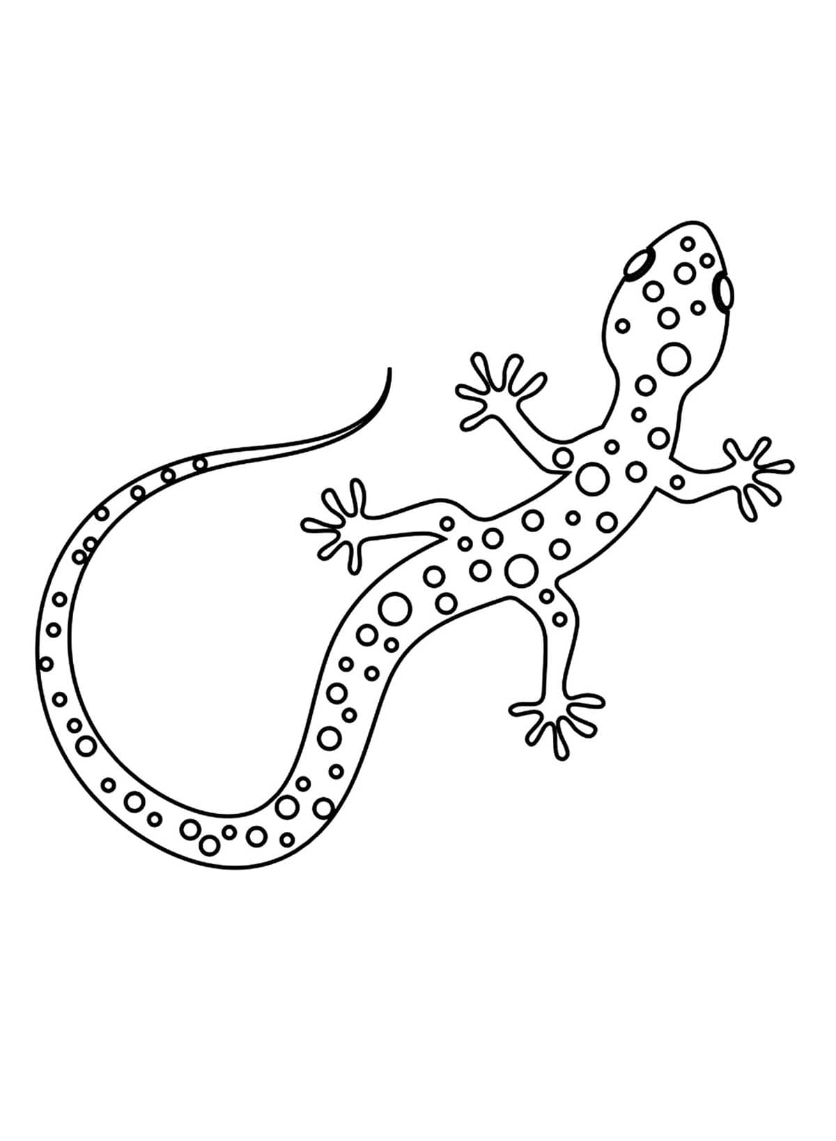 Coloriage gratuit Lézard #217865 de la collection Animaux à imprimer