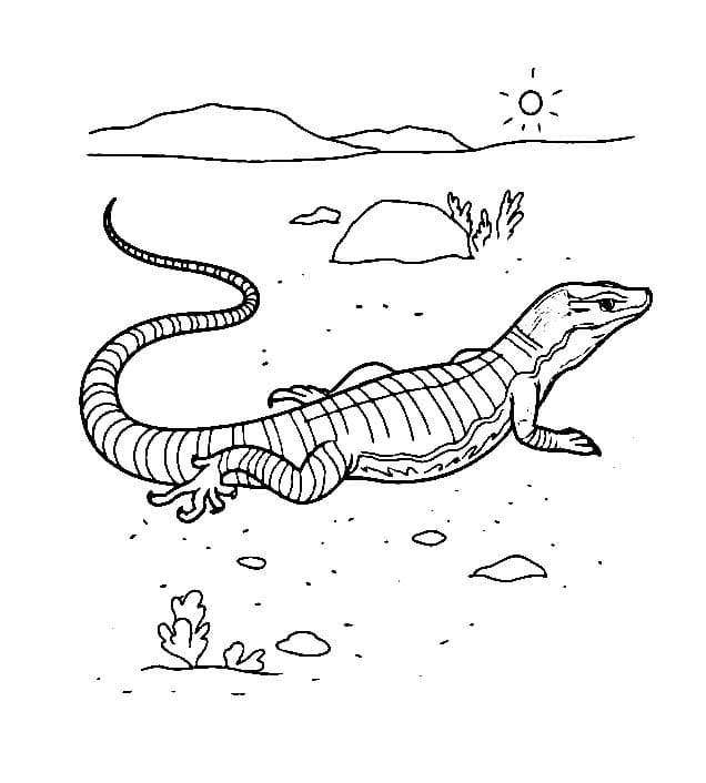 Illustration au trait Lézard #217867 de la collection Animaux à colorier gratuitement