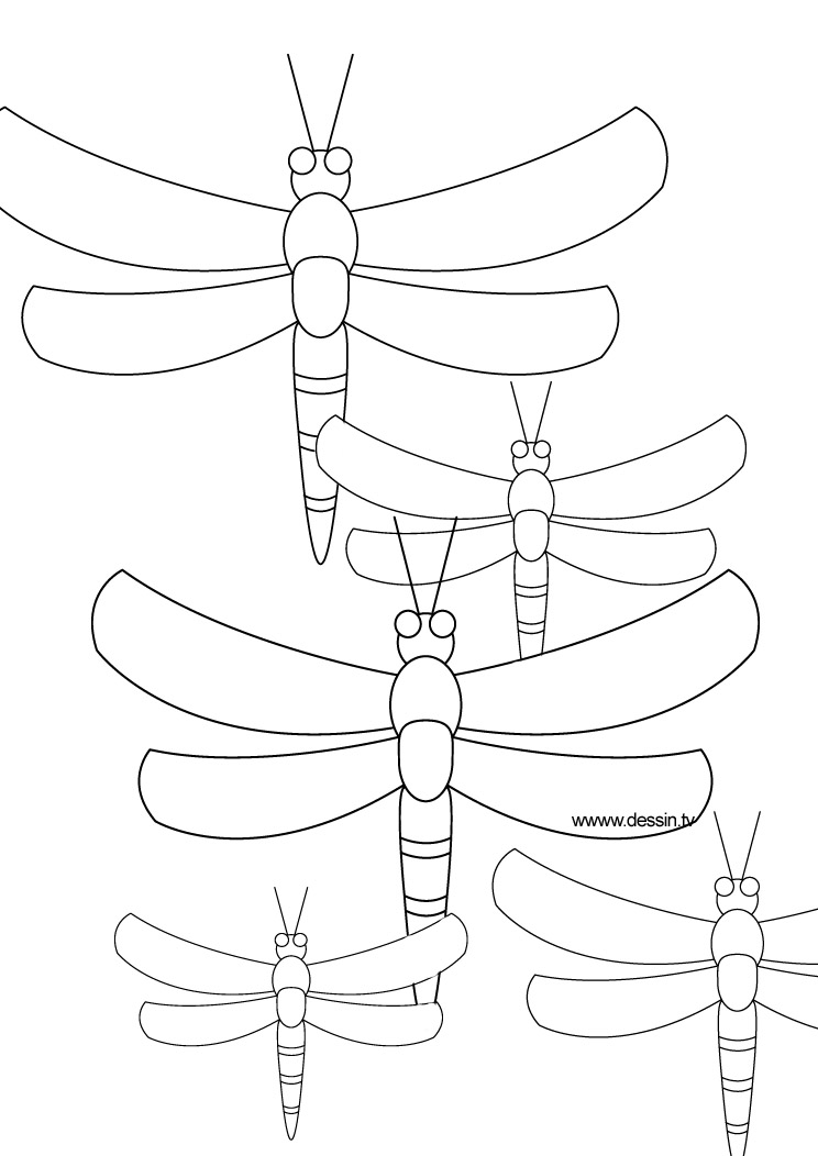 Dessin à colorier: Libellule (Animaux) #9903 - Coloriages à Imprimer Gratuits