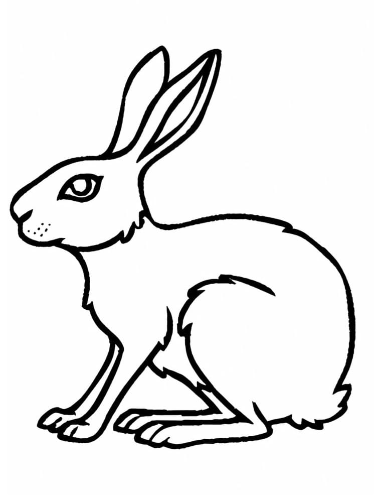 Coloriage gratuit Lièvre #209015 de la collection Animaux à imprimer