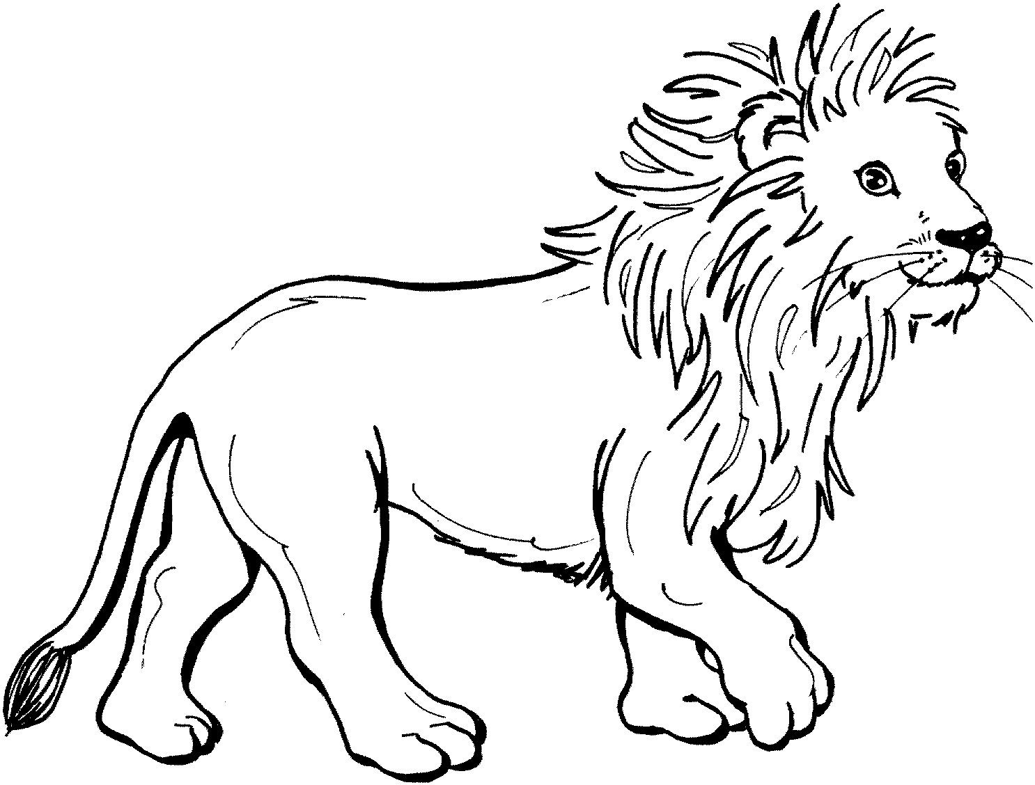 Dessin à colorier: Lion (Animaux) #10240 - Coloriages à Imprimer Gratuits
