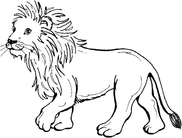 Dessin à colorier: Lion (Animaux) #10267 - Coloriages à Imprimer Gratuits