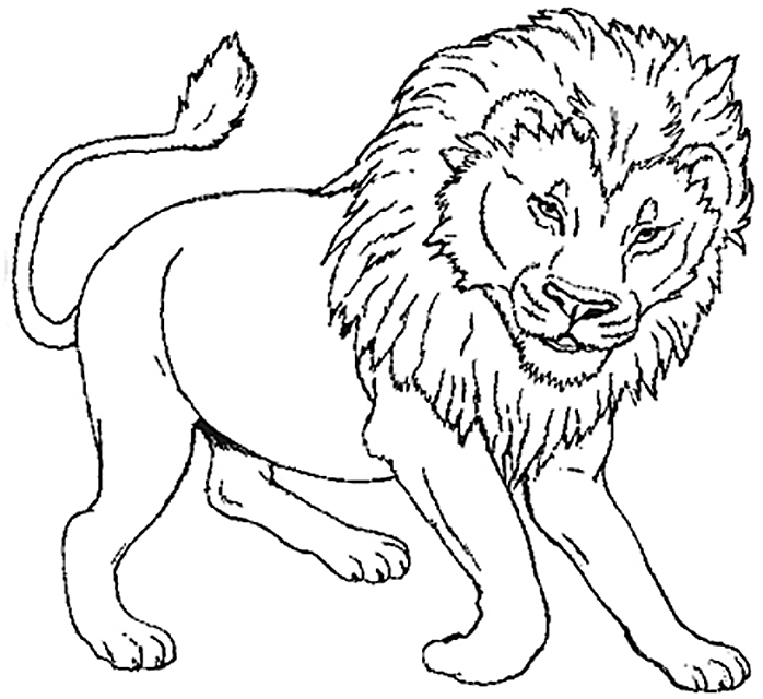 Dessin à colorier: Lion (Animaux) #10270 - Coloriages à Imprimer Gratuits