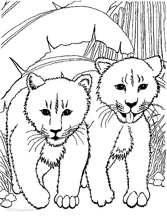 Dessin à colorier: Lion (Animaux) #10296 - Coloriages à Imprimer Gratuits