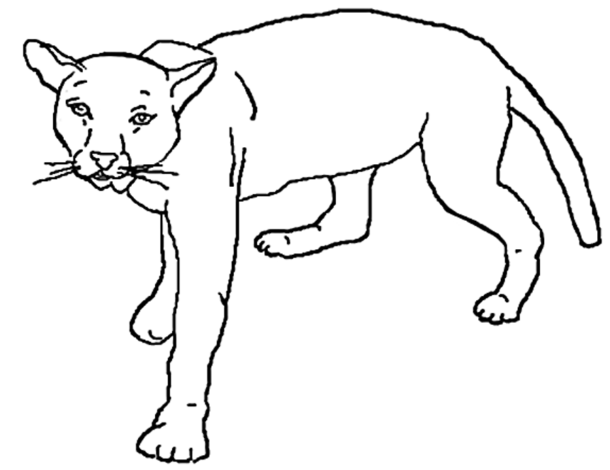 Dessin à colorier: Lion (Animaux) #10388 - Coloriages à Imprimer Gratuits