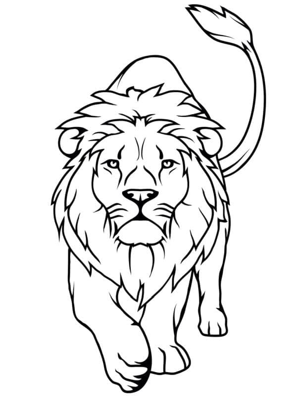 Coloriage à imprimer Lion #174855 de la série Animaux, gratuit pour enfants et adultes