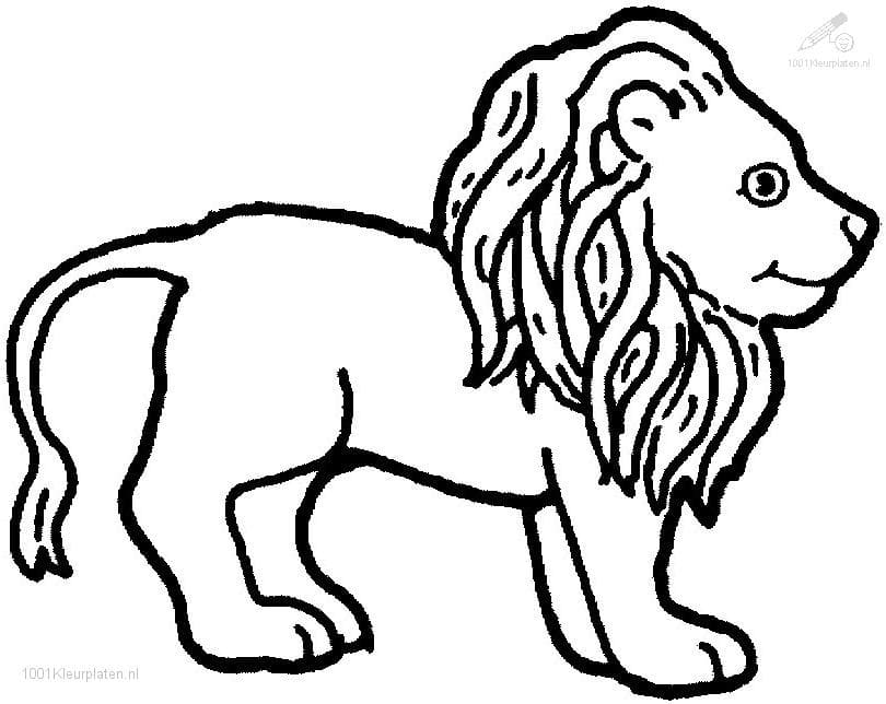 Coloriage imprimable Lion #174865 de la collection Animaux à colorier aux crayons