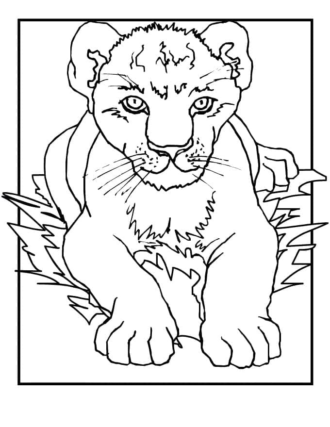 Dessin Lion #174890 à colorier de la série Animaux, gratuit à télécharger et imprimer