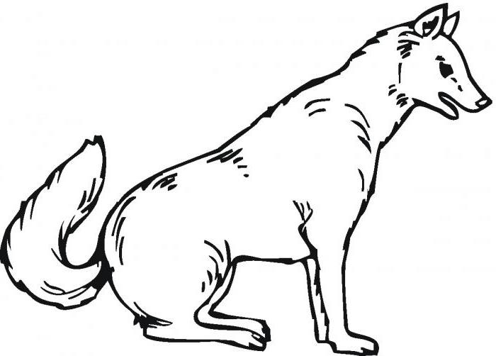 Dessin Loup Animaux A Colorier Coloriages A Imprimer