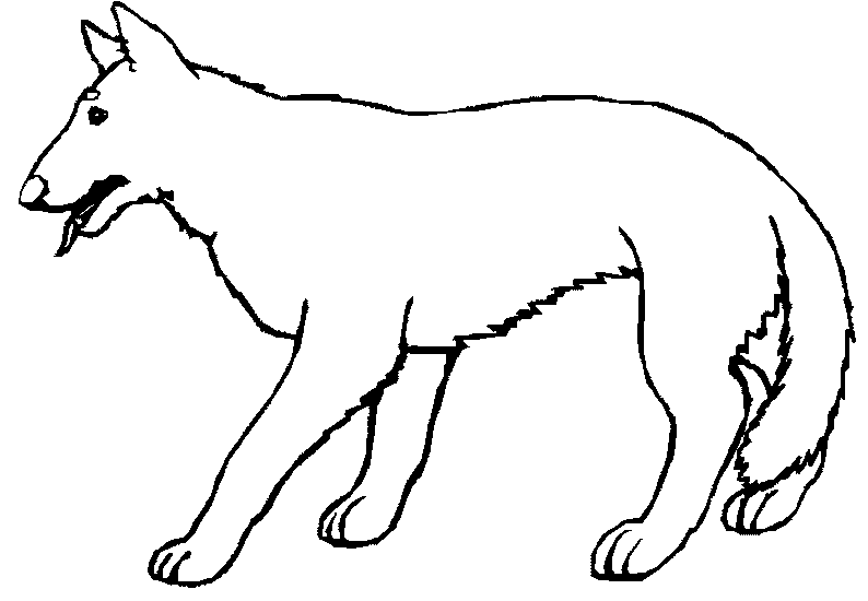 Dessin à colorier: Loup (Animaux) #10505 - Coloriages à Imprimer Gratuits