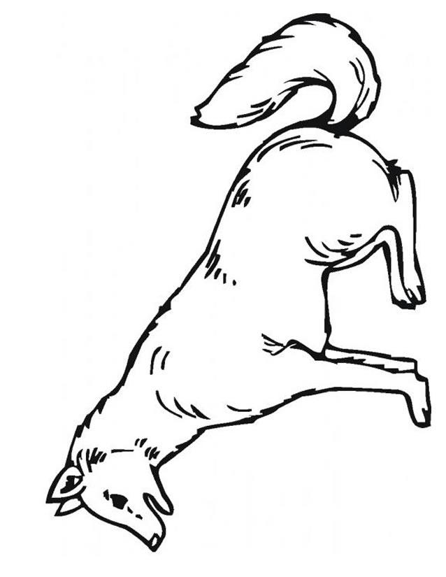 Dessin Loup Animaux A Colorier Coloriages A Imprimer