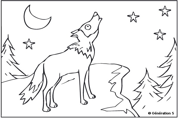 Coloriages Loup Animaux Album De Coloriages