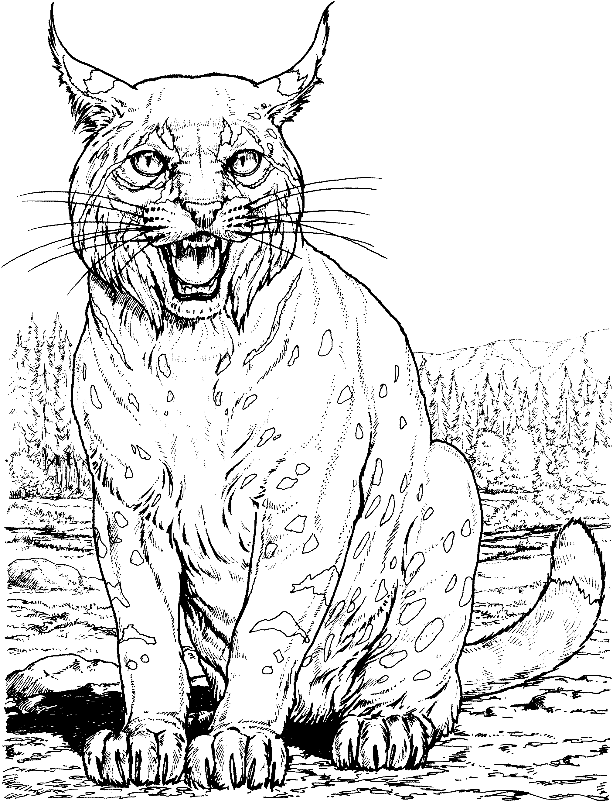 Dessin à colorier: Lynx (Animaux) #10798 - Coloriages à Imprimer Gratuits