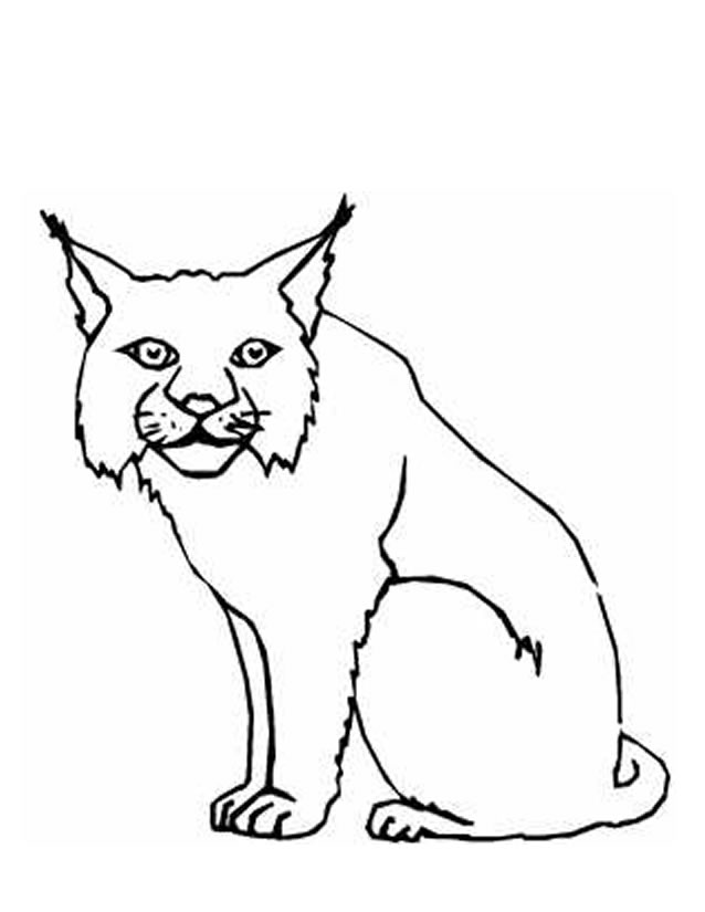 Dessin à colorier: Lynx (Animaux) #10807 - Coloriages à Imprimer Gratuits