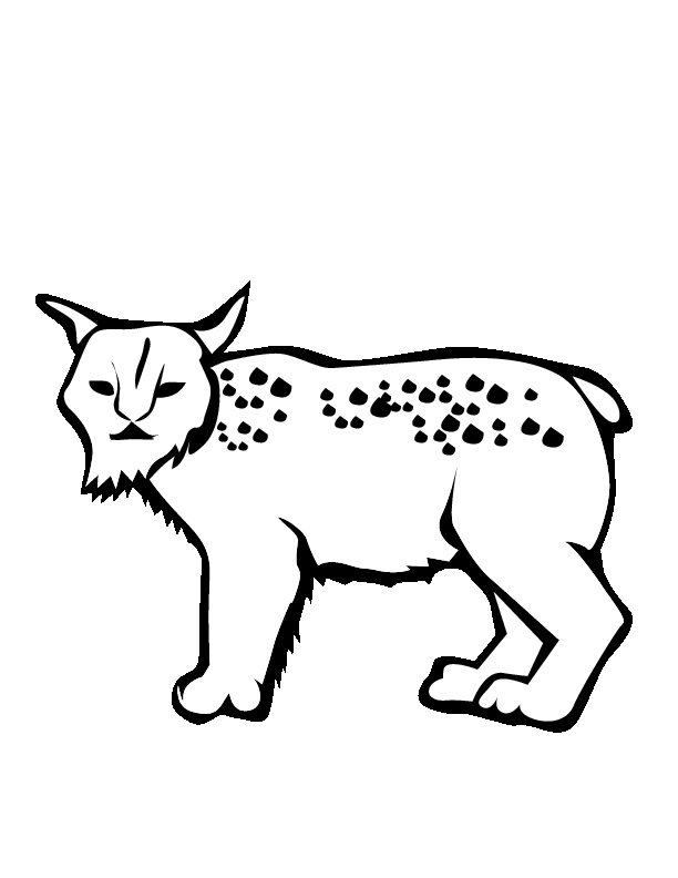 Dessin à colorier: Lynx (Animaux) #10829 - Coloriages à Imprimer Gratuits