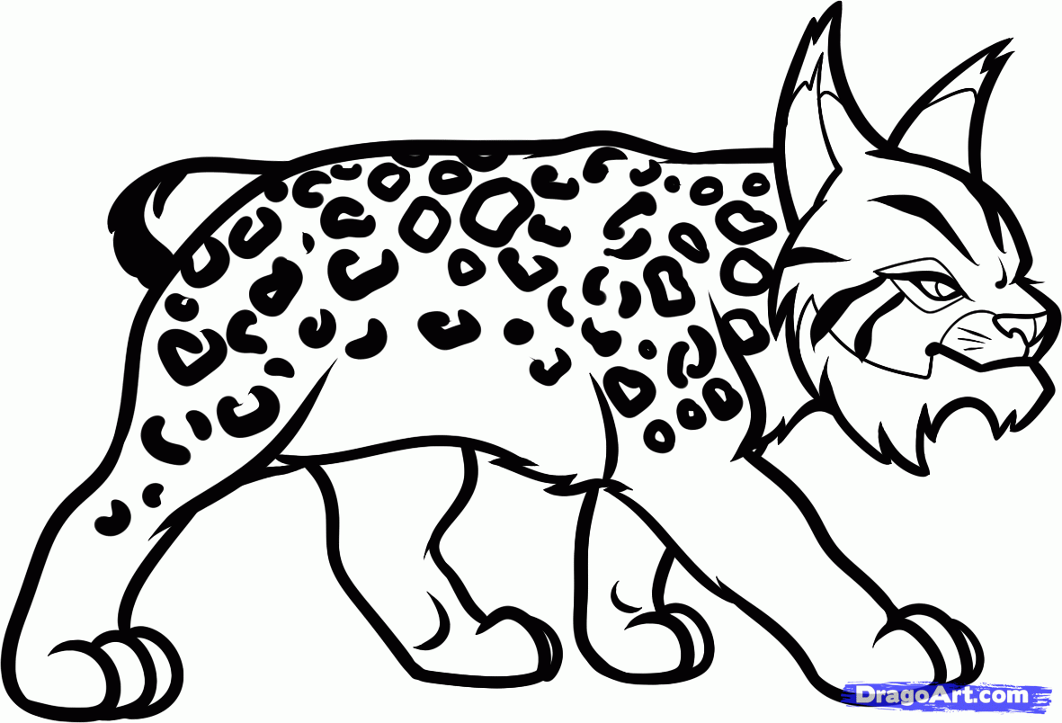 Dessin à colorier: Lynx (Animaux) #10840 - Coloriages à Imprimer Gratuits