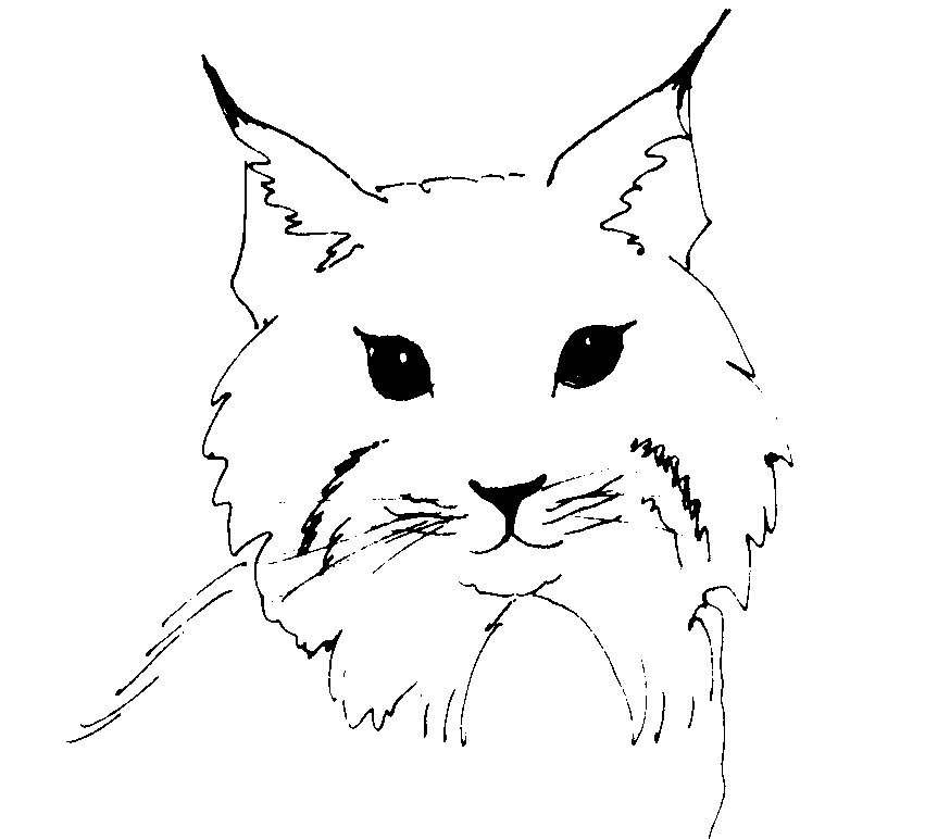 Dessin à colorier: Lynx (Animaux) #10841 - Coloriages à Imprimer Gratuits