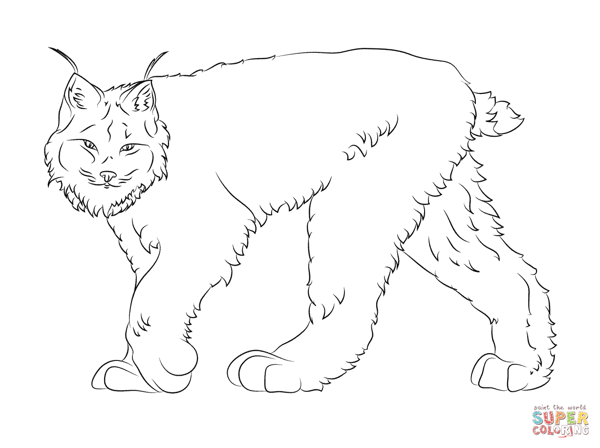Dessin à colorier: Lynx (Animaux) #10847 - Coloriages à Imprimer Gratuits