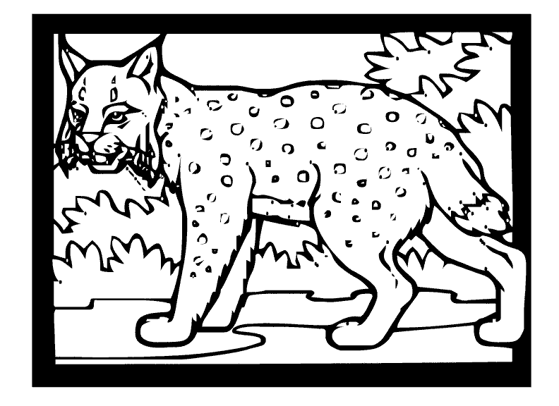 Dessin à colorier: Lynx (Animaux) #10851 - Coloriages à Imprimer Gratuits