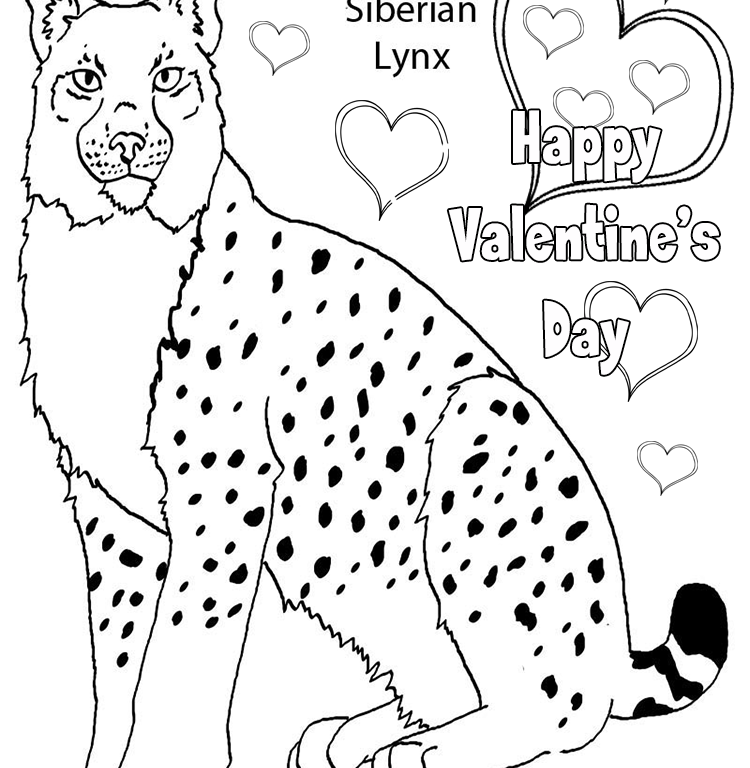 Dessin à colorier: Lynx (Animaux) #10876 - Coloriages à Imprimer Gratuits