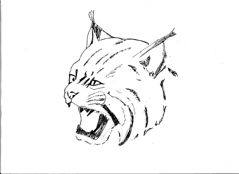 Dessin à colorier: Lynx (Animaux) #10877 - Coloriages à Imprimer Gratuits