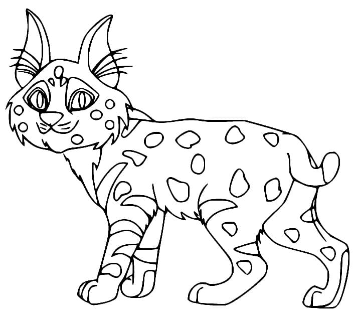 Coloriage gratuit pour enfants et adultes Lynx #189249, collection Animaux Coloriage gratuit pour enfants et adultes Lynx #189249, collection Animaux